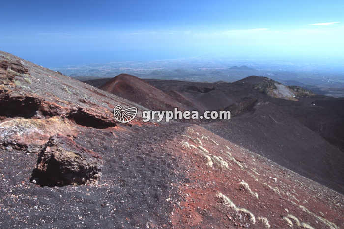 Etna vue sur Catane - gryphea.com